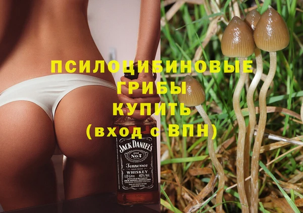 кокаин Алексеевка