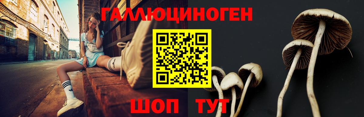Галлюциногенные грибы Magic Shrooms  Вход с VPN  Апшеронск 