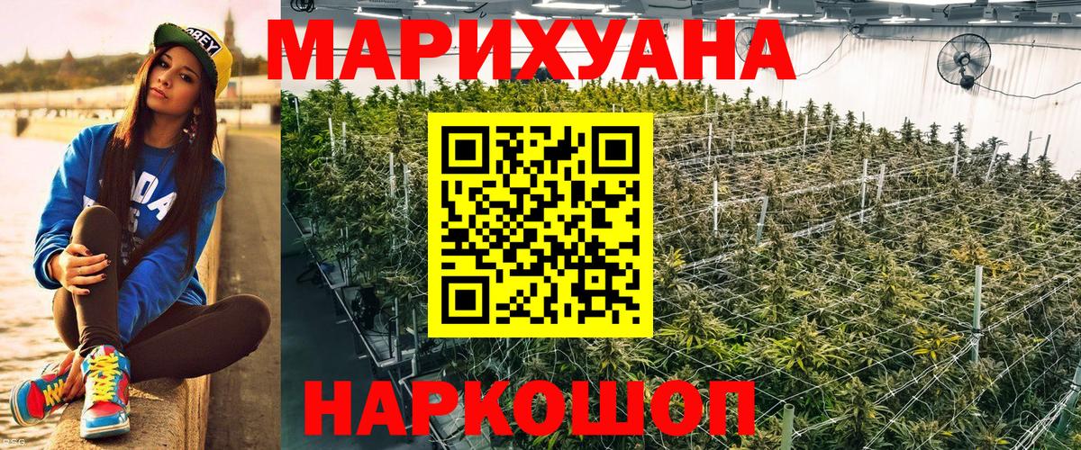 Бошки Шишки тримм  МАРИХУАНА тримм  Бошки марихуана THC 21%  Вход с VPN  Апшеронск  Канабис OG Kush 